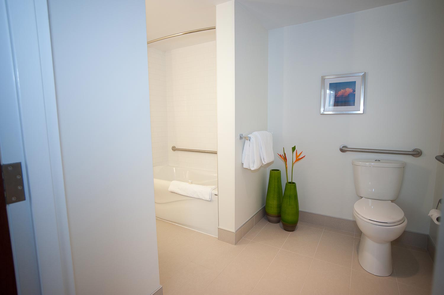 Bathroom with a toilet, a tub, and grab bars