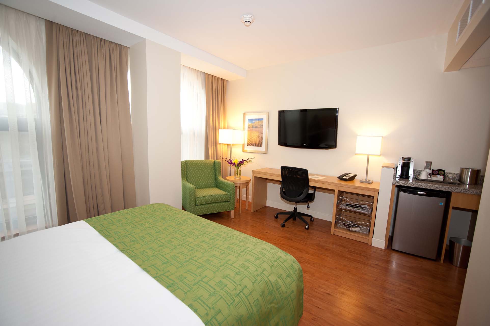 Holman 1 Queen guest room with a queen bed, work desk, TV, and mini-fridge