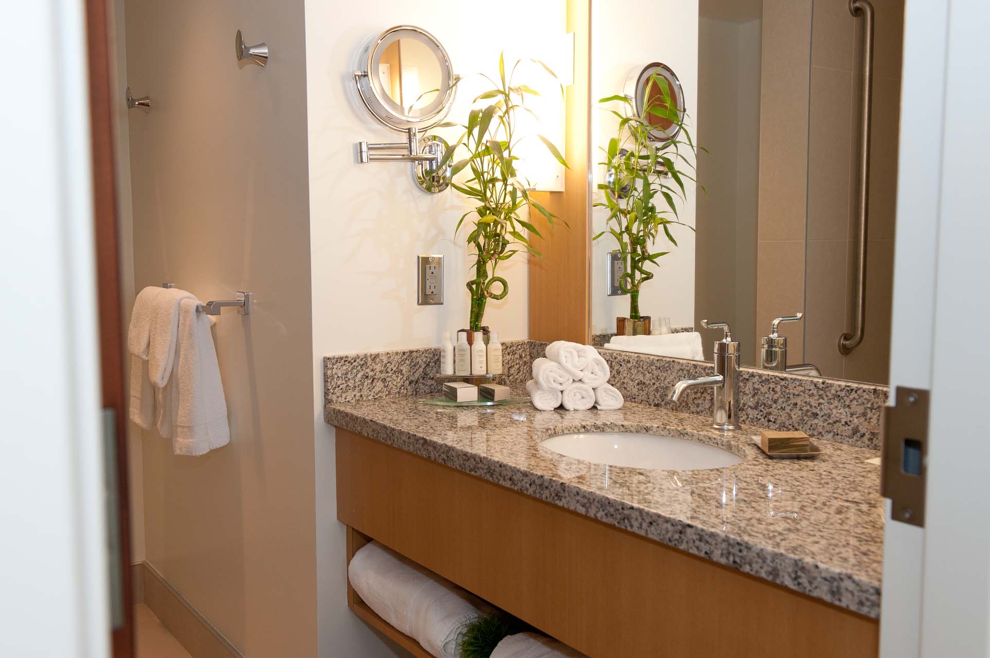 Bathroom with one sink and a small bamboo plant