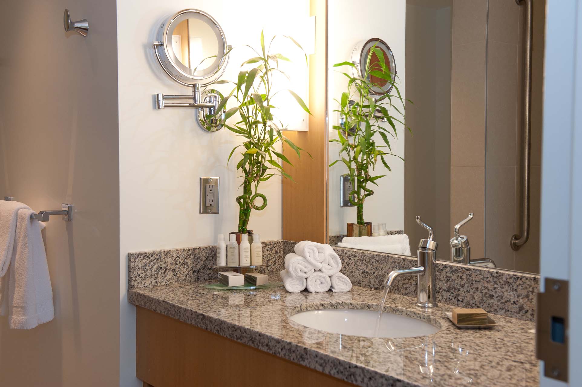 A bathroom counter with one sink and a bamboo plant
